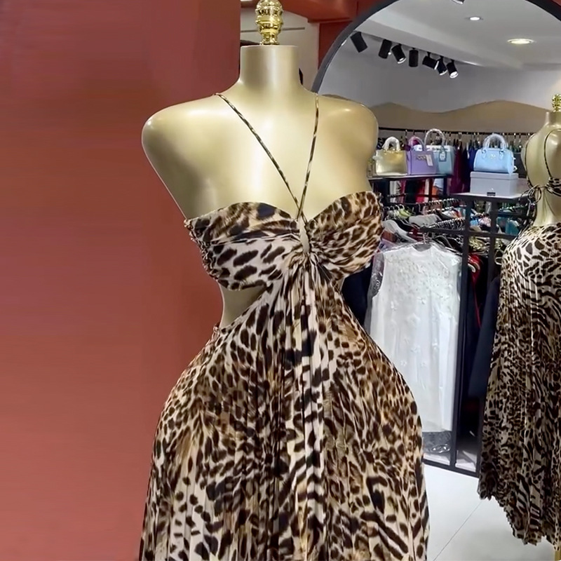 Imprimé léopard femmes Robe de - Women'S Holiday Formal Wear avis et prix